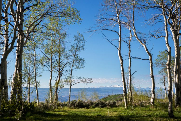 view from rainbow lake