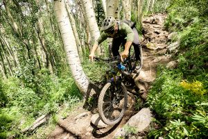 A mountain biker descends over a steep section of Trail 409.5 over roots and through aspen trees.