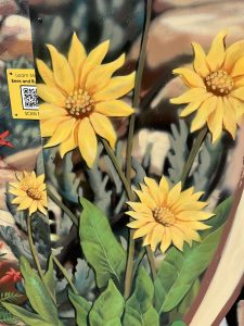 Arrowleaf Balsamroot