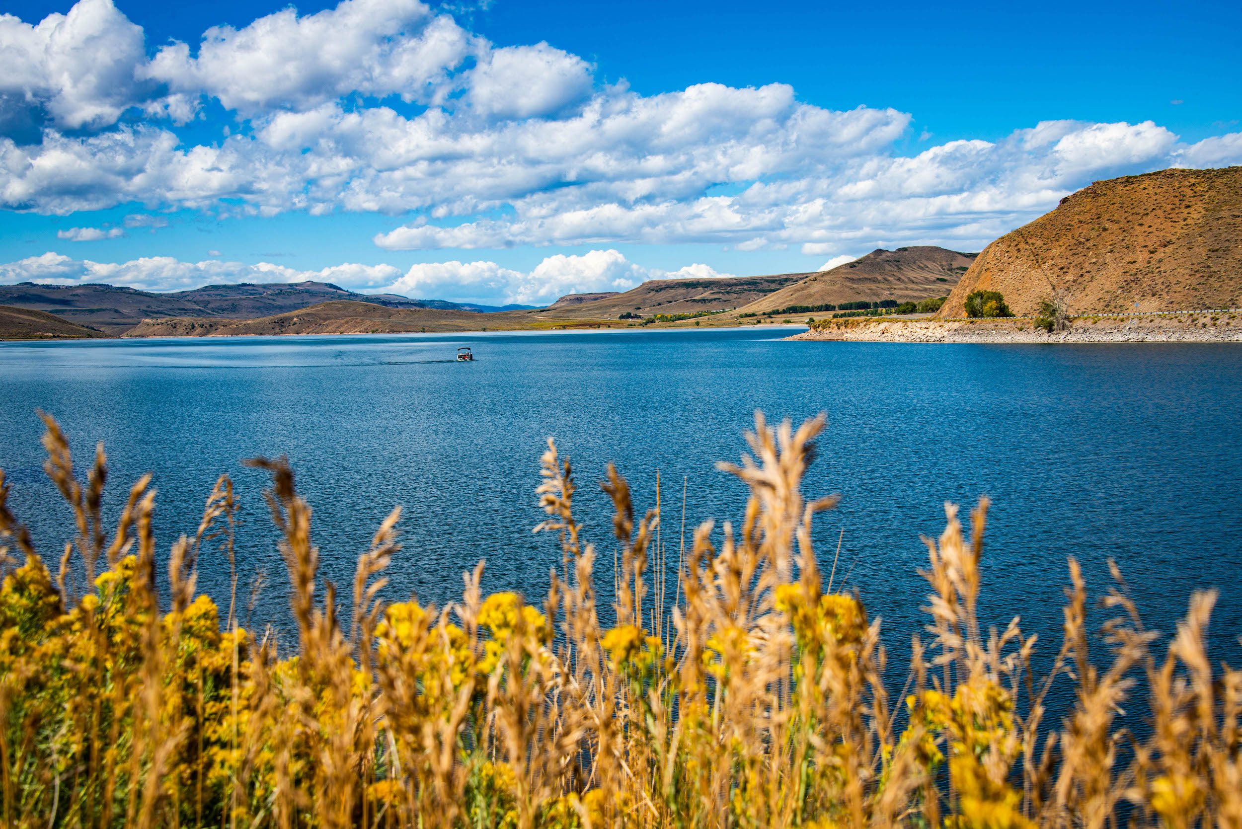 A lakeshore. Blue Mesa Reservoir is the largest lake in Colorado