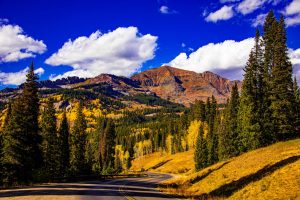 Kebler Pass, Gunnison, Colorado