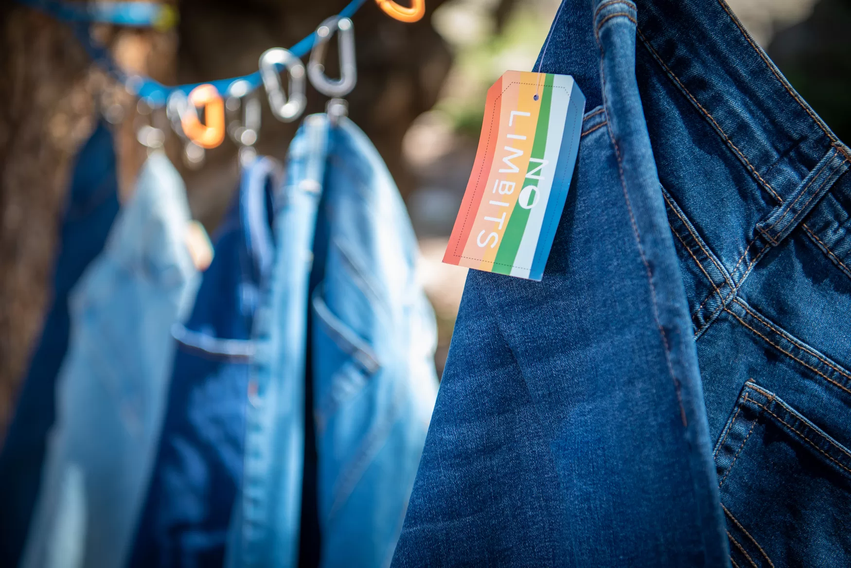 No Limbits Crested Butte + Gunnison