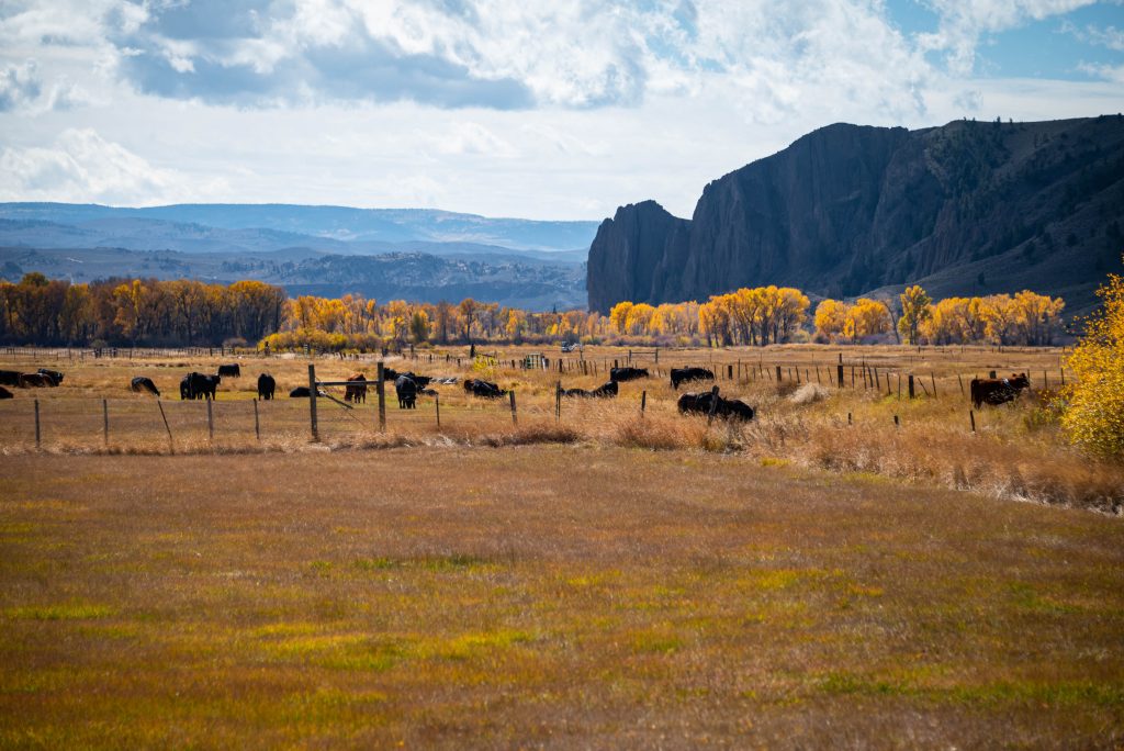 Gunnison, CO