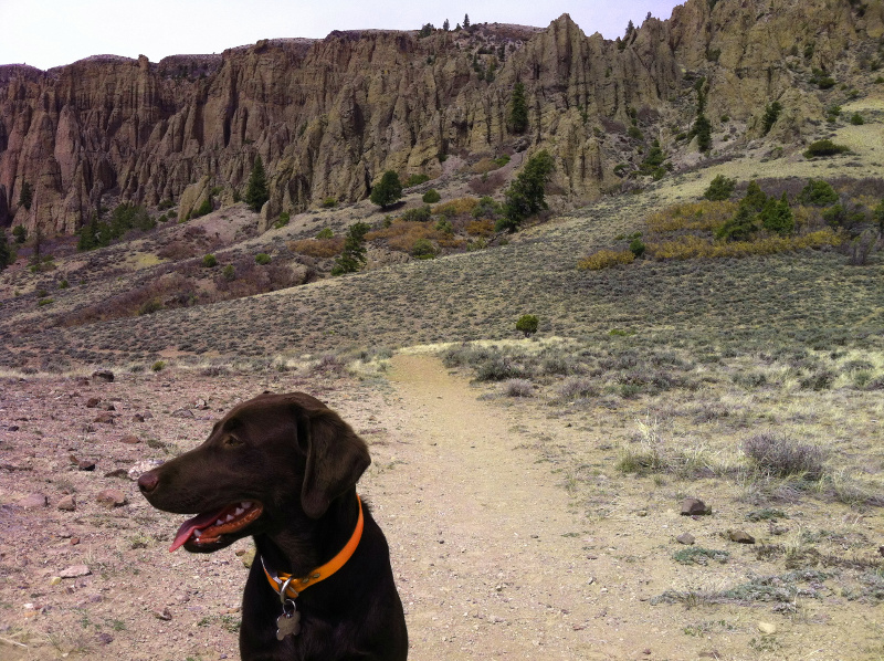 dillon pinnacles trail gunnison colorado