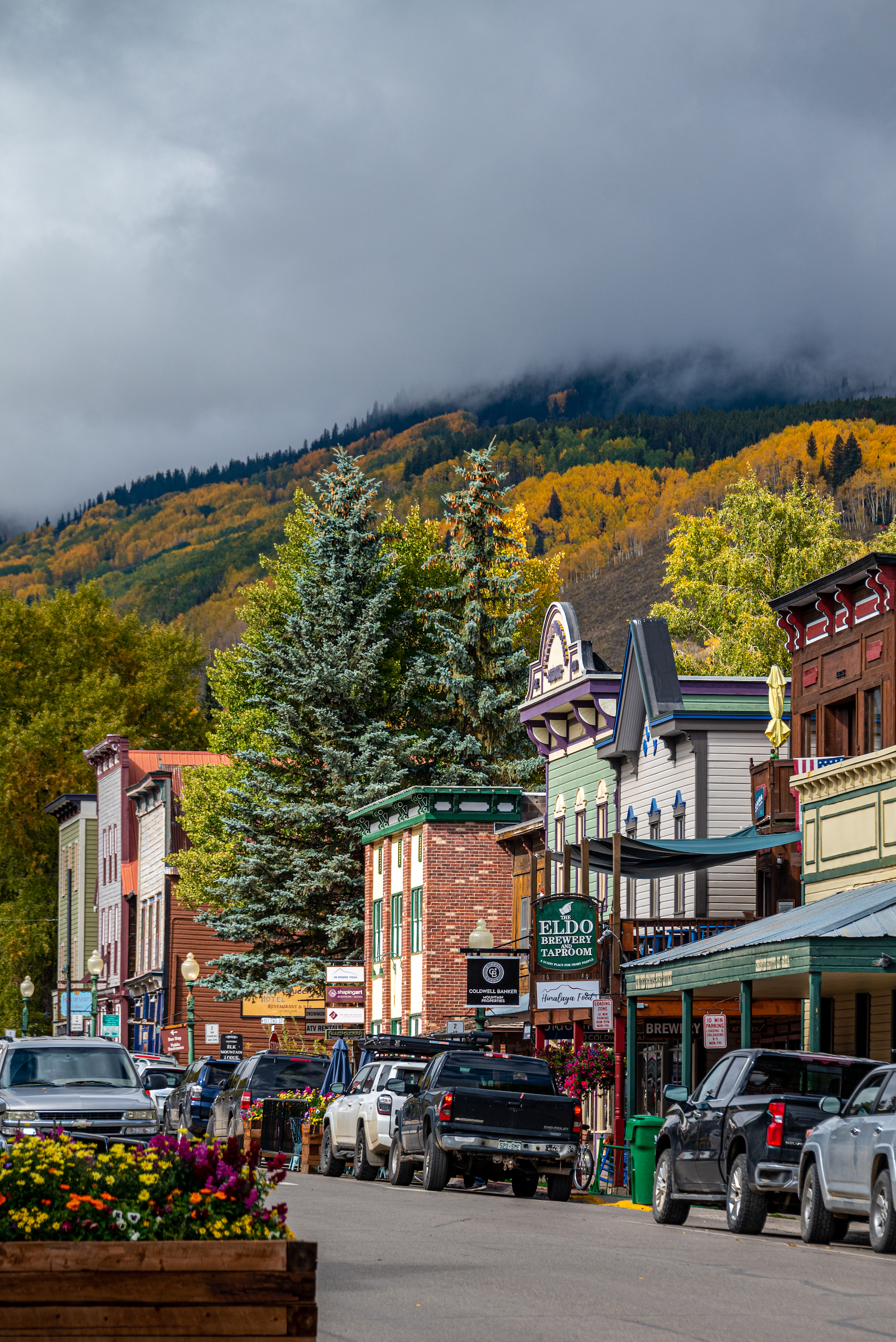 A downtown street with trees and cars lining the buildings 