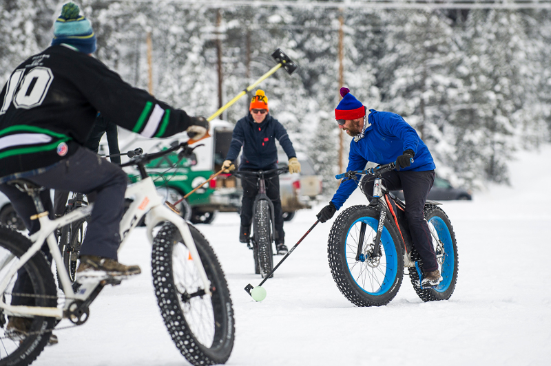 borealis fat tire bike