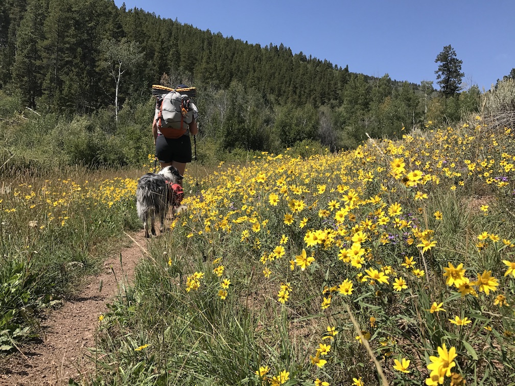 Hiking in Gunnison, CO