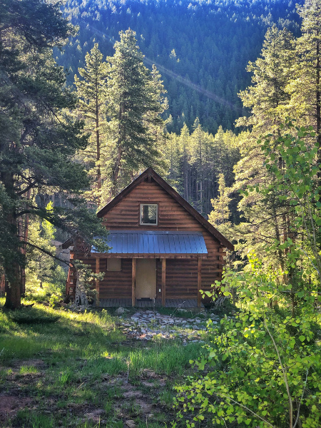 cabin in whitepine colorado