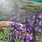 Silvery Lupine