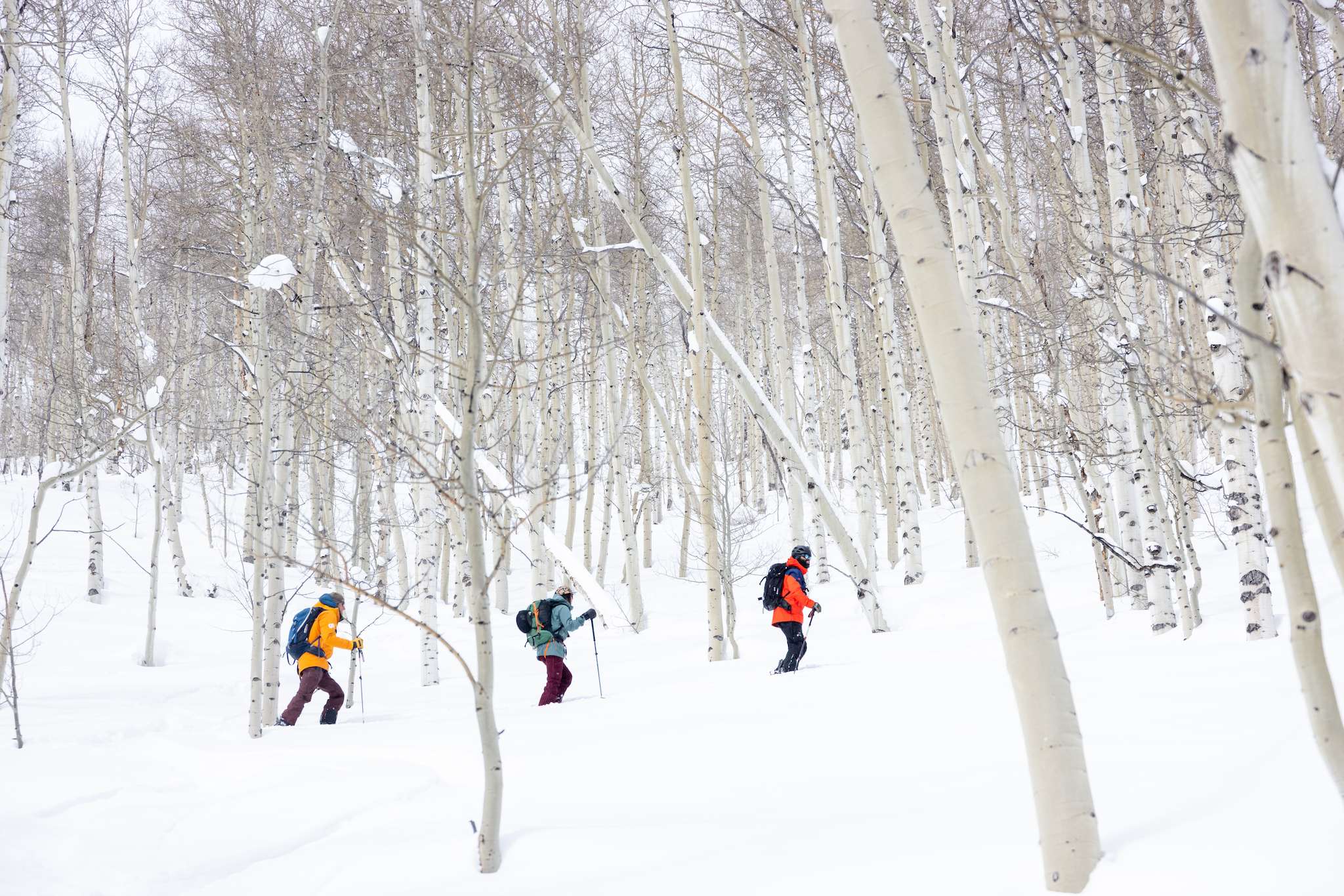 three people backcountry skiing in crested butte