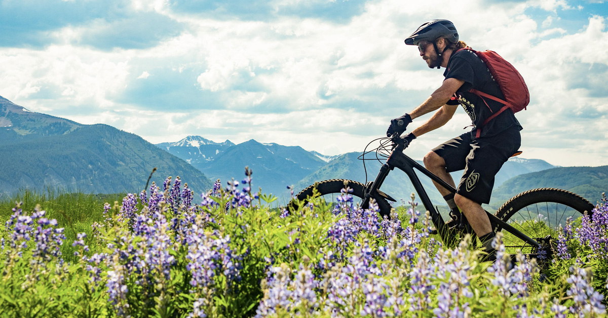 beginner downhill mountain bike