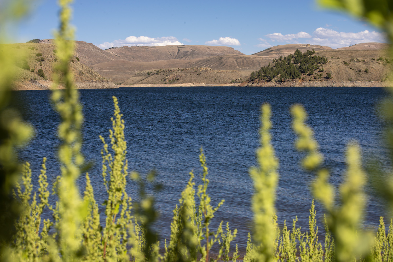 a lakeshore 