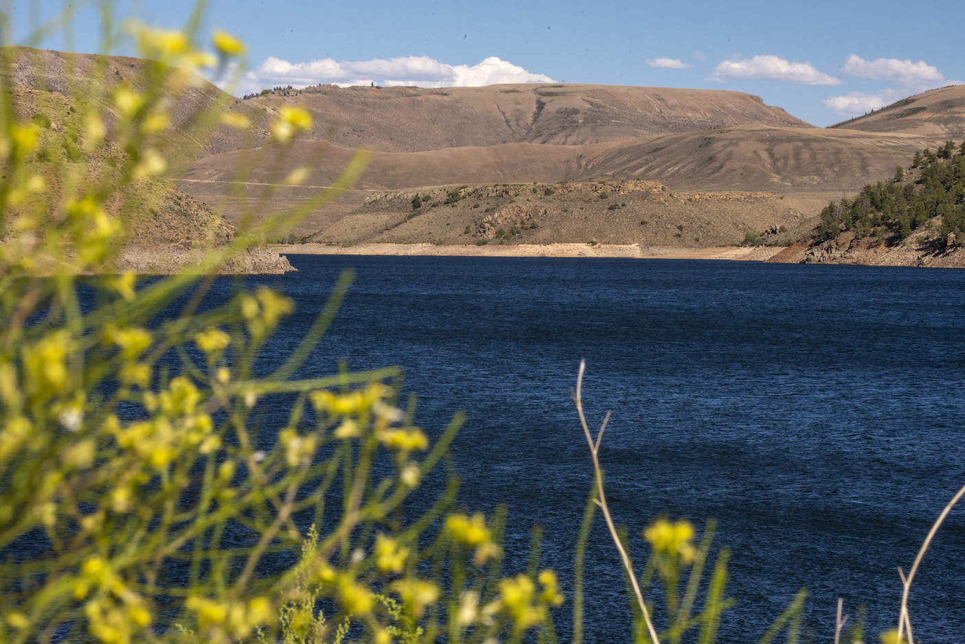 A lakeshore of Blue Mesa Reservoir Gunnison Colorado