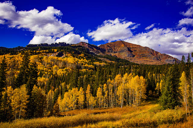 COVID-19 in the Gunnison Valley: Isolated Up Cement Creek