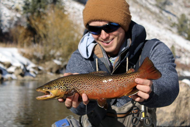 A fisherman holds a brown trout in winter on a river in Colorado.