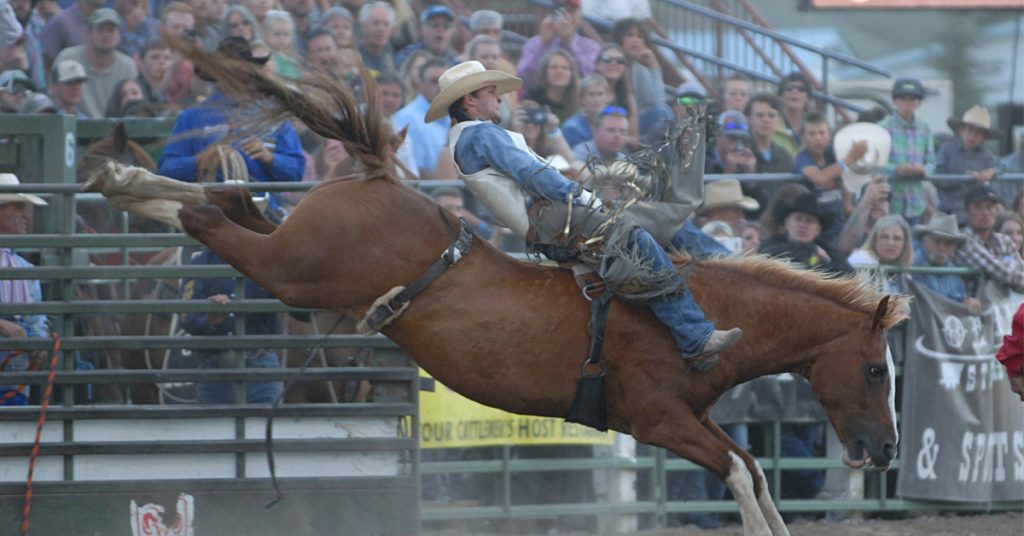 cowboy-bronco-cattlemens-days-rodeo-gunnison-colorado