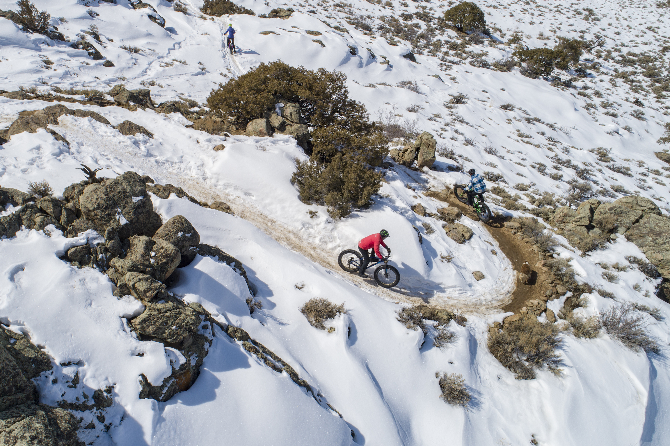 An aerial view of fat bikers riding on a snowy trail