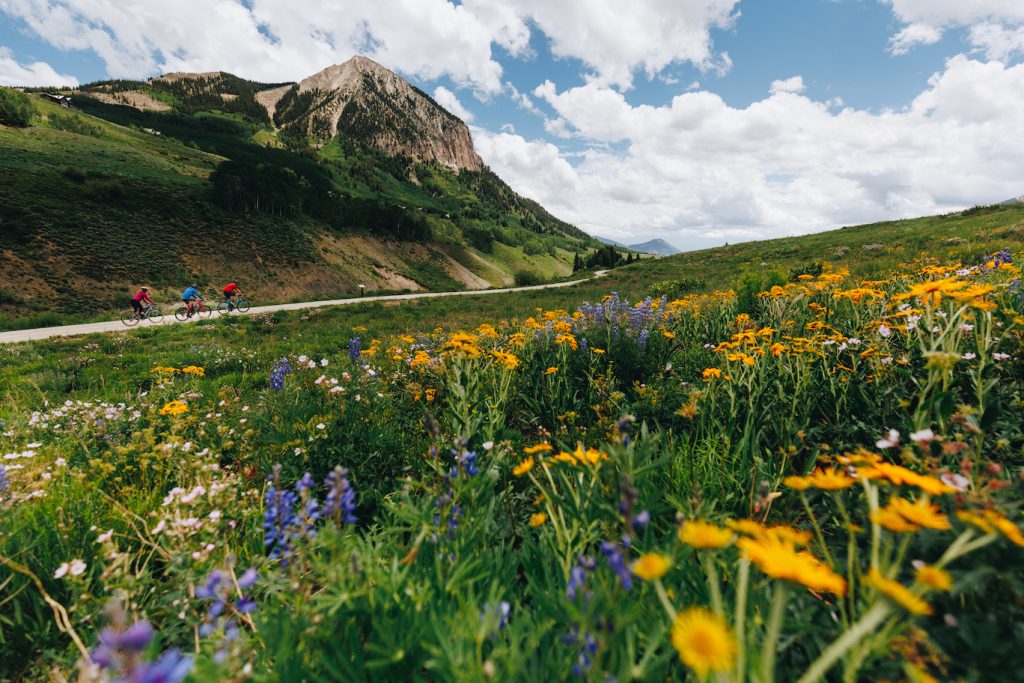 A mountain peak in the background with a road running through the middle. Yellow and purple flowers in a green field in the foreground.