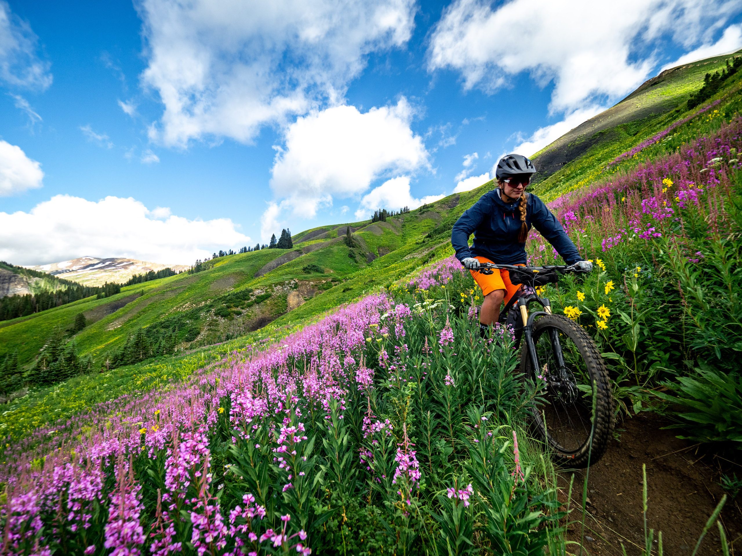 A person riding a mountain bike through a field of wildflowers