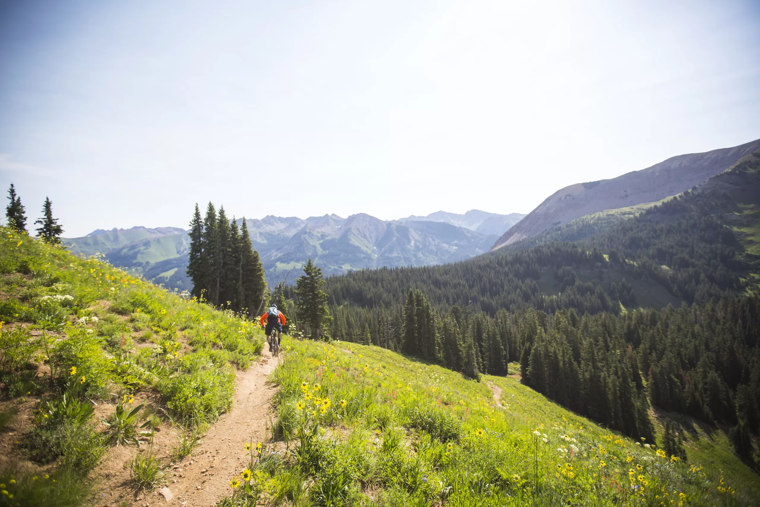 A vista of mountain peaks, trees and meadows with a biker on a trail