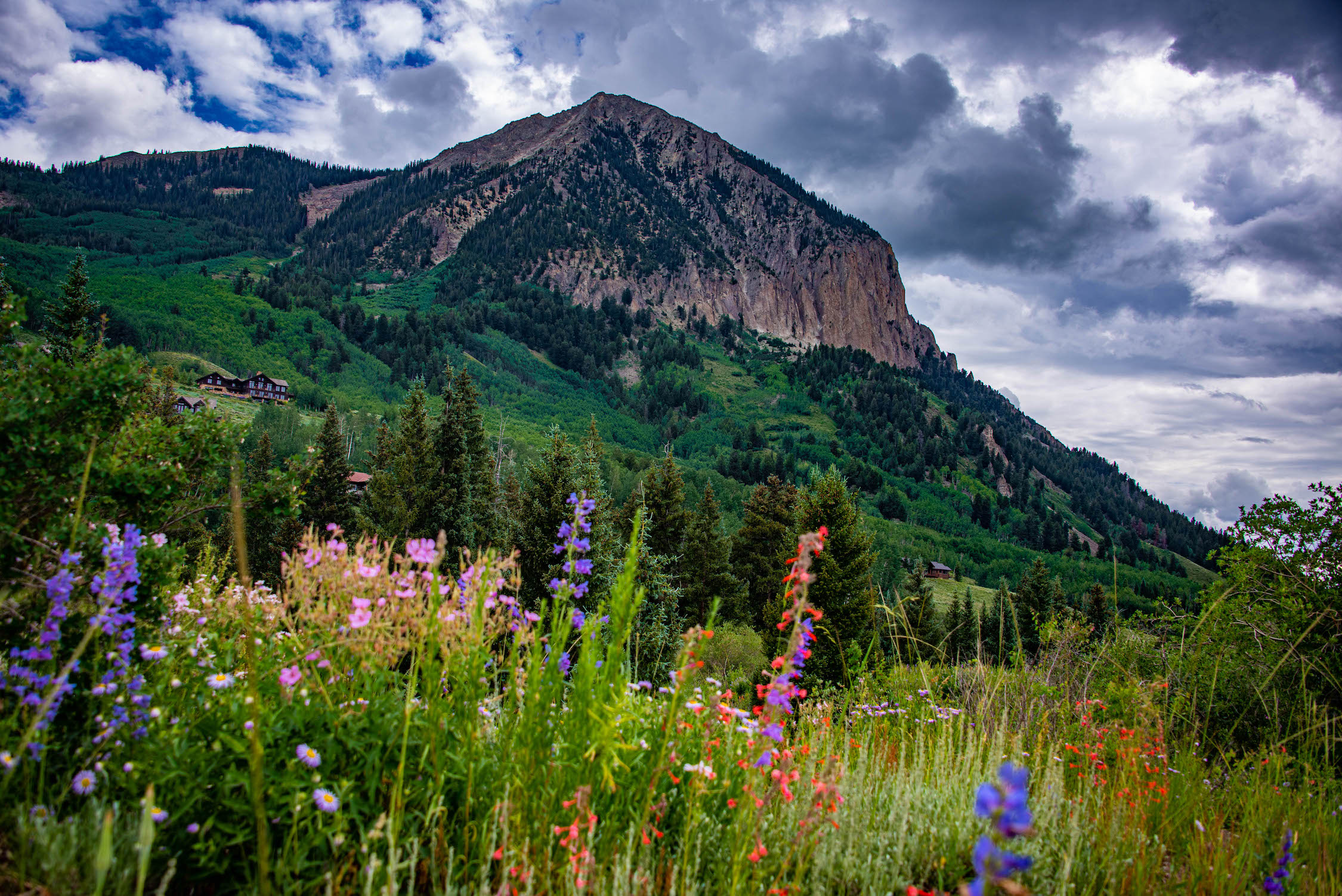 Best Wildflower Hikes In The Gunnison Valley Crested Butte Gunnison Best Wildflower Hikes In The Gunnison Valley Crested Butte Gunnison