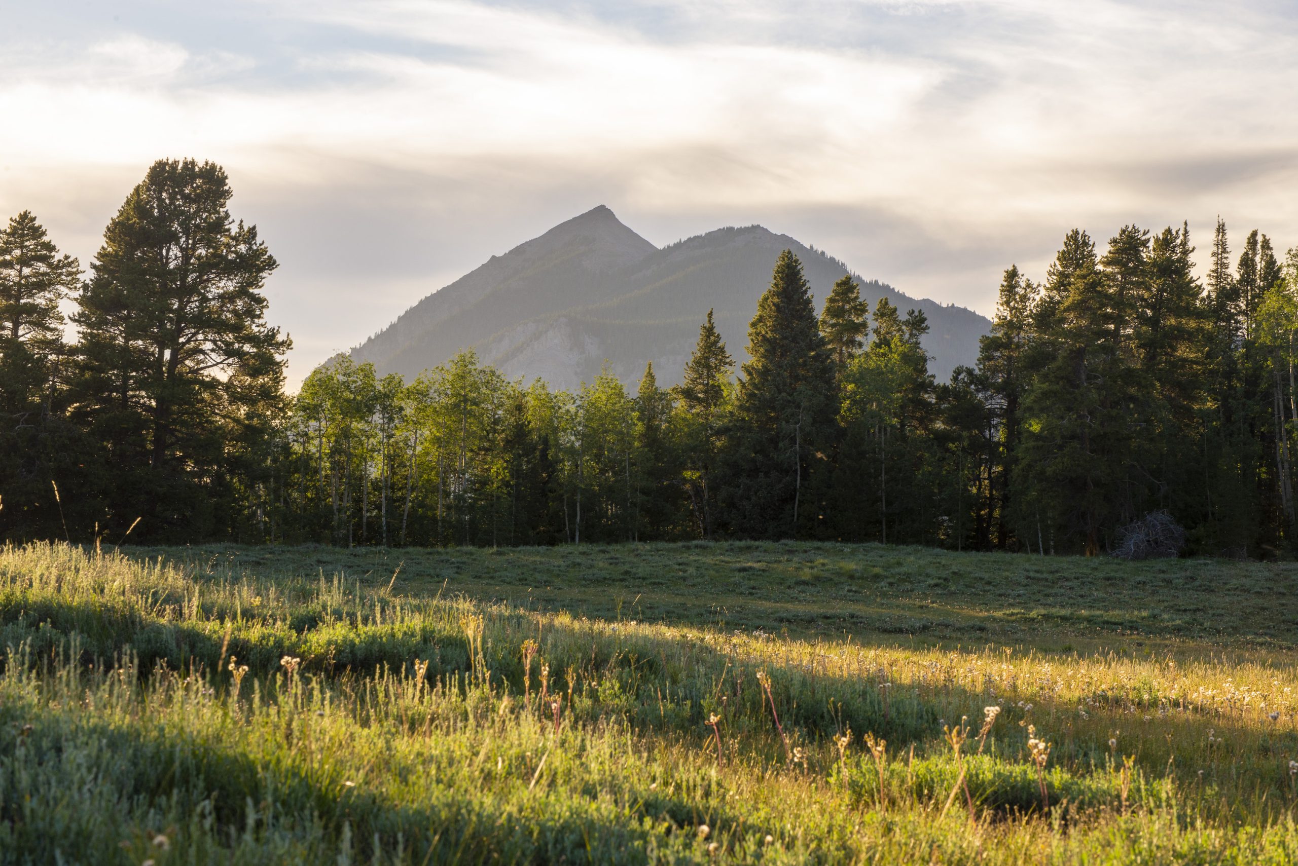 A pointy mountain peak covered in haze from the sunset with trees and a grassy field in the foreground. This sunset is happening over Crested Butte, Colorado