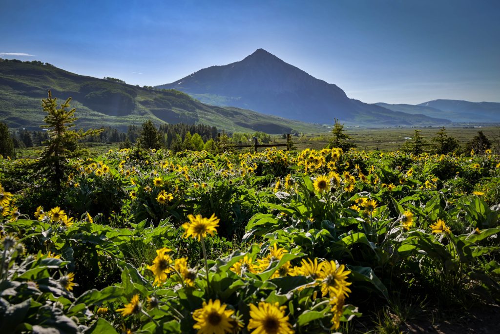 Crested Butte Colorado Summer Activities Crested Butte+Gunnison