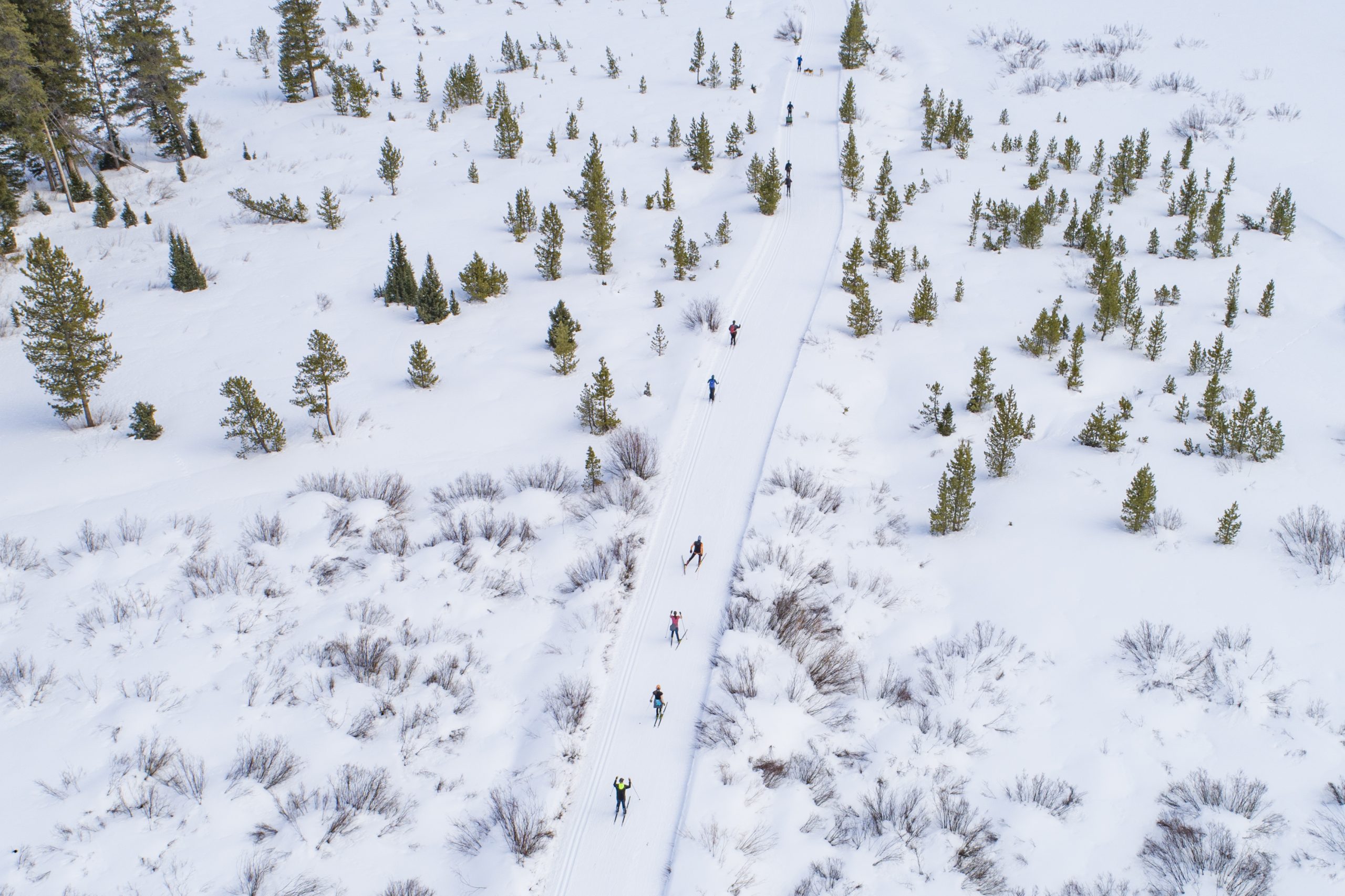 An aerial view of cross-country skiers on a groomed track. There are trees on each side of the track