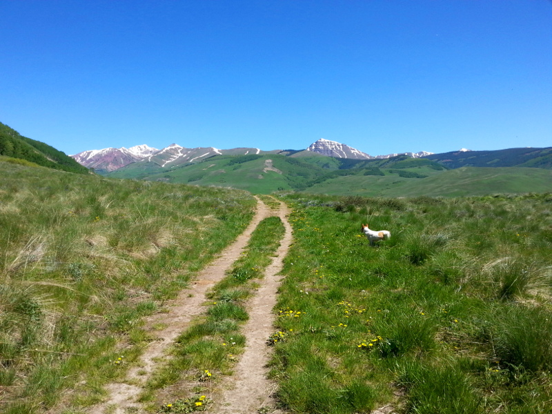 east river trail crested butte colorado