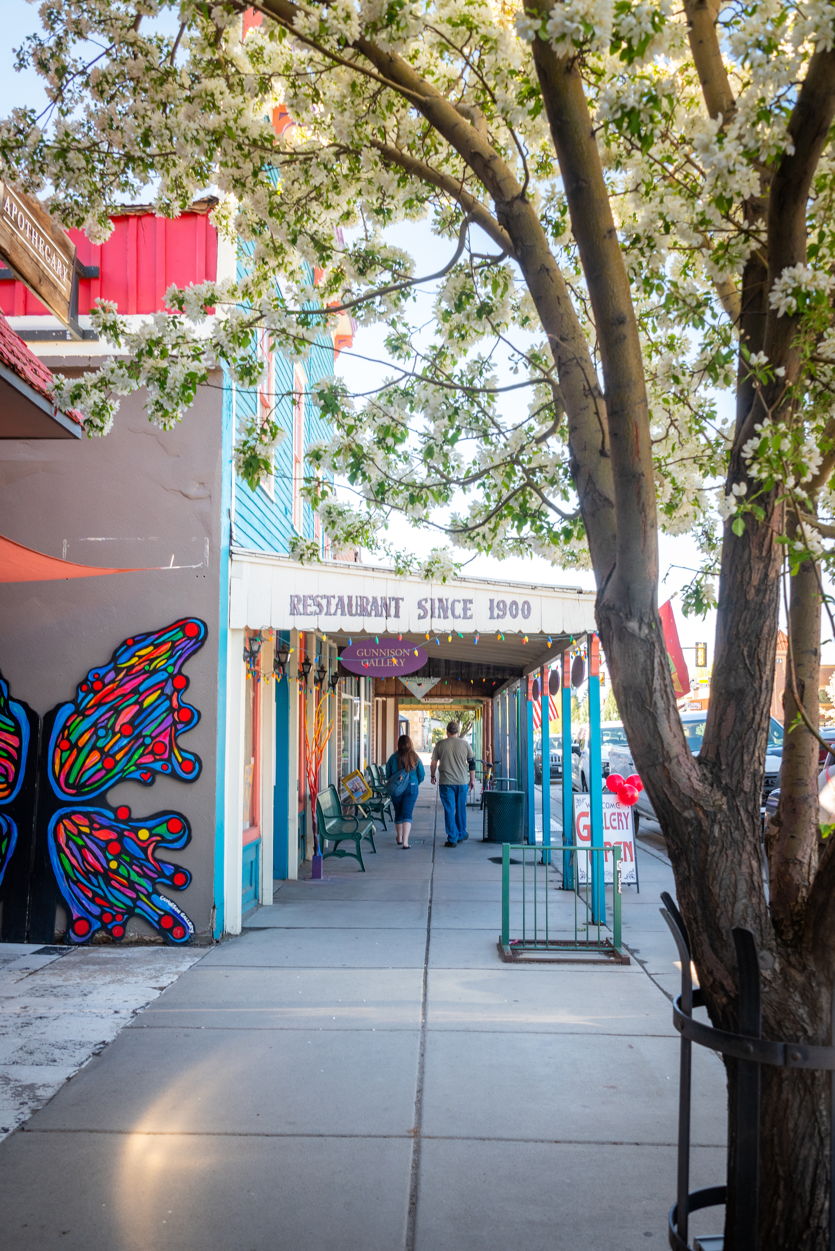 downtown gunnison spring