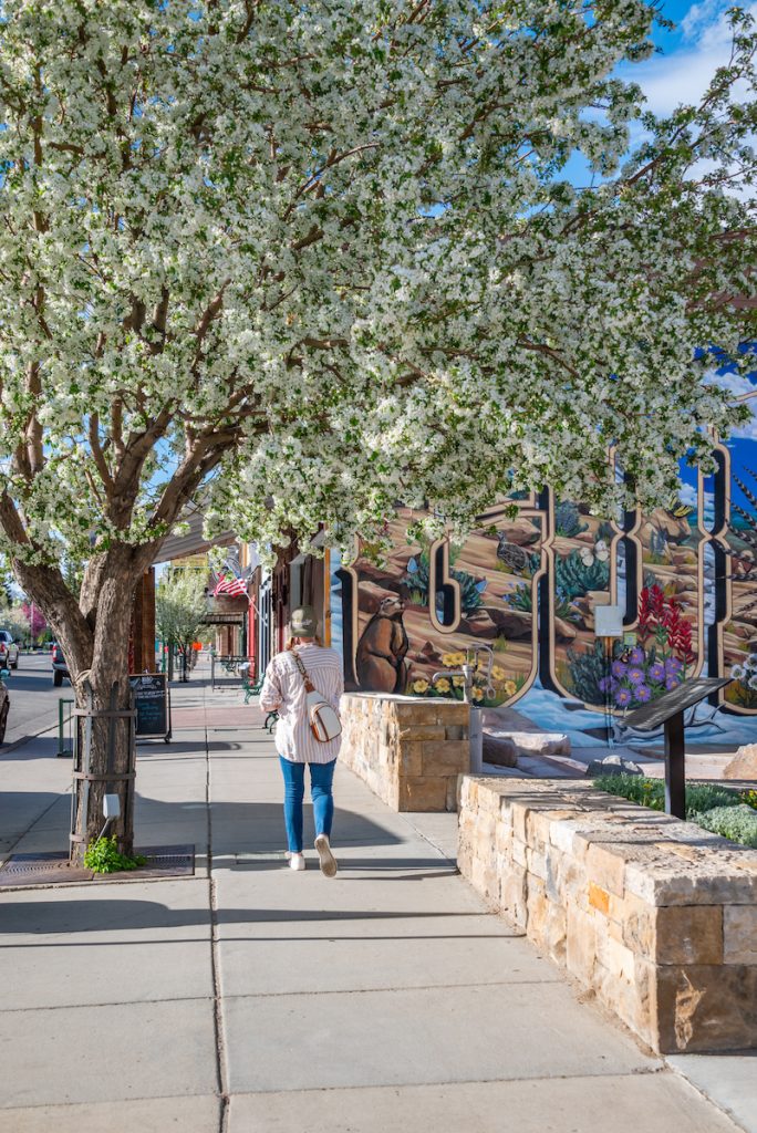 downtown gunnison spring