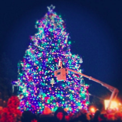 holiday tree in Gunnison