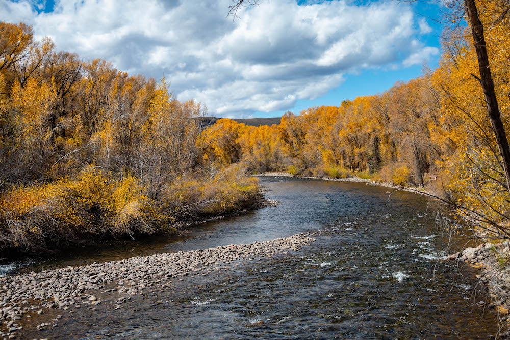 A river flowing between fall colored trees under a blue and cloudy sky