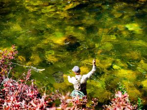 A man casts a fishing rod into a river while holding a net