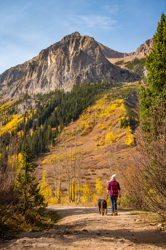 Fall on the trail to Judd Falls near Crested Butte, Colorado.