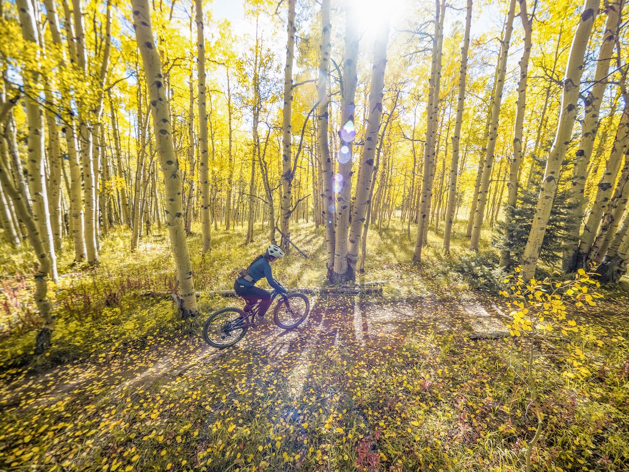 A person riding a mountain bike on a trail lined with aspen trees. fall mountain biking crested butte