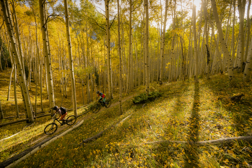 fall colors in Colorado