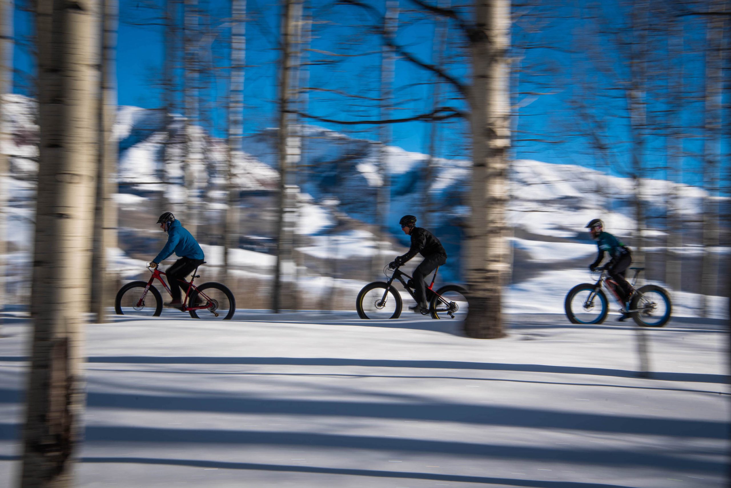 Three people riding fat bikes on a snowy trail in the woods