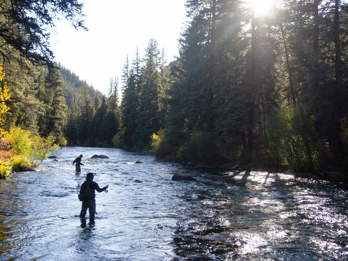 Two people standing in a river fly fishing. They are fly fishing Taylor River Almont, Colorado