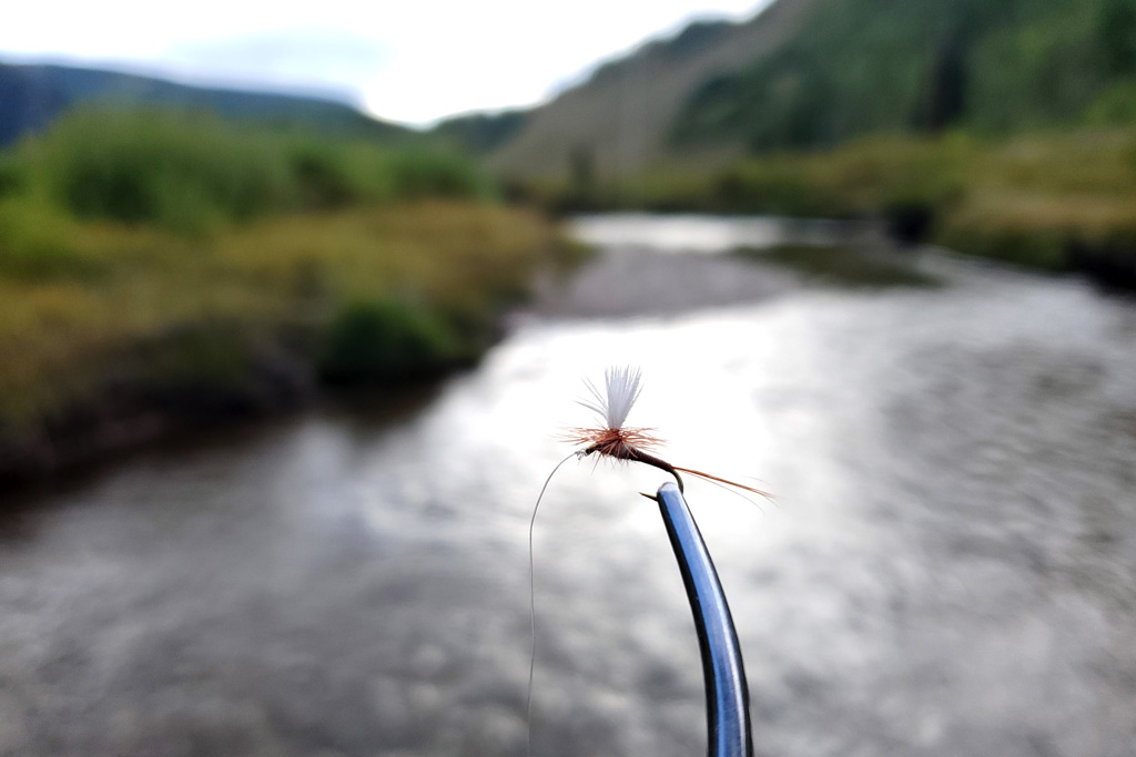 Fly fishing in Crested Butte a photo of a fly in front of a blurred-out mountain creek in summer.