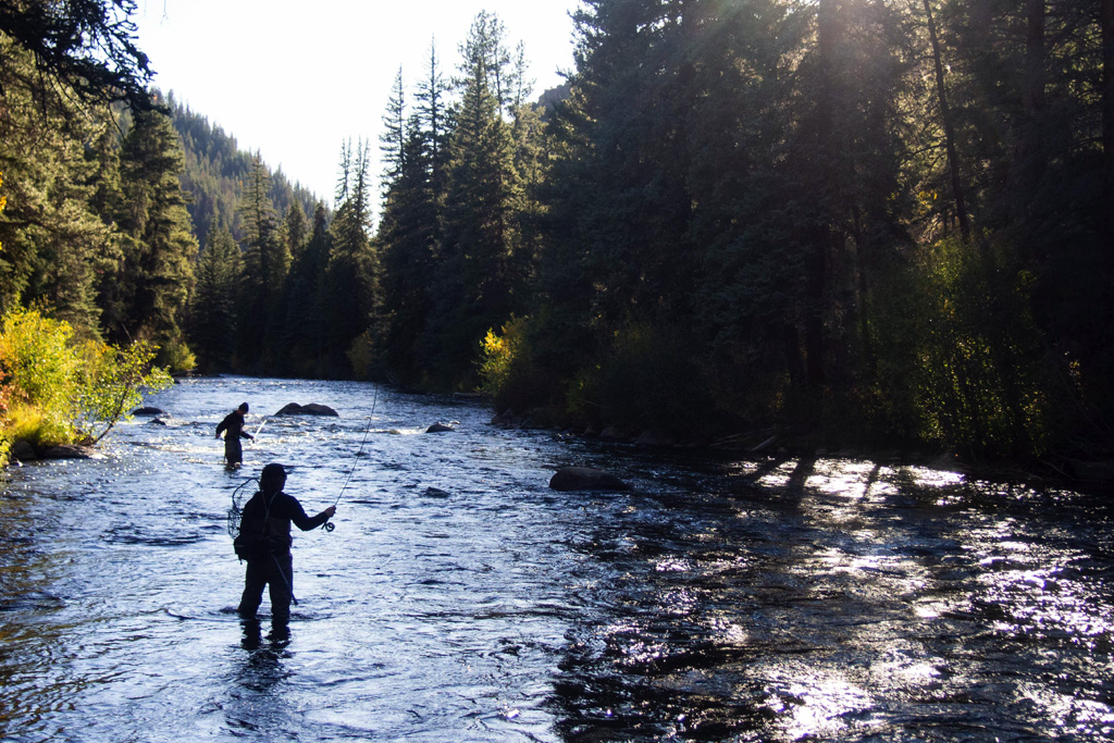 Fly Fishing Texas Creek Colorado