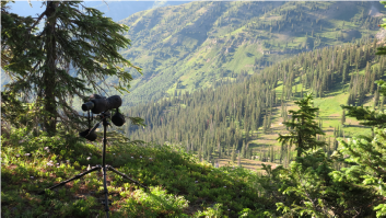 glassing for elk