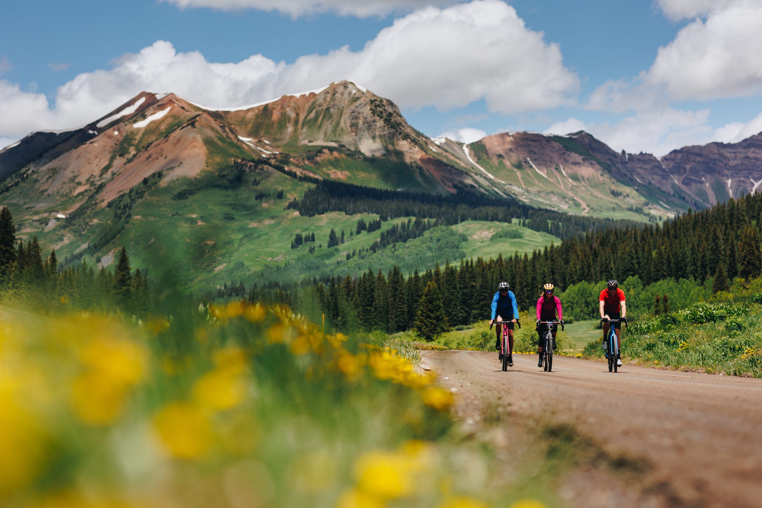 Three people gravel biking in Crested Butte, Colorado on a dirt road with wildflowers in the foreground and mountain peaks in the background.