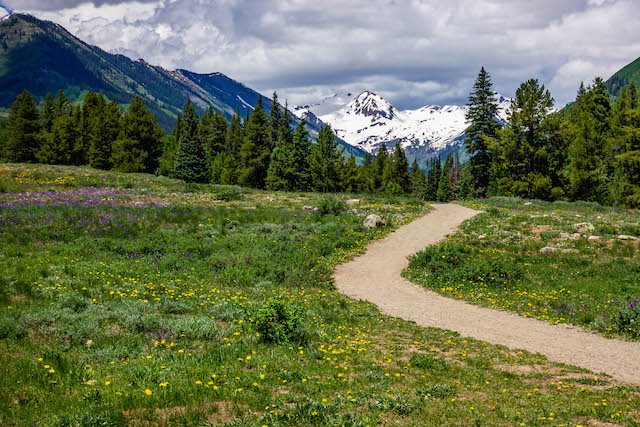 Photo of Trail in Gunnison Valley