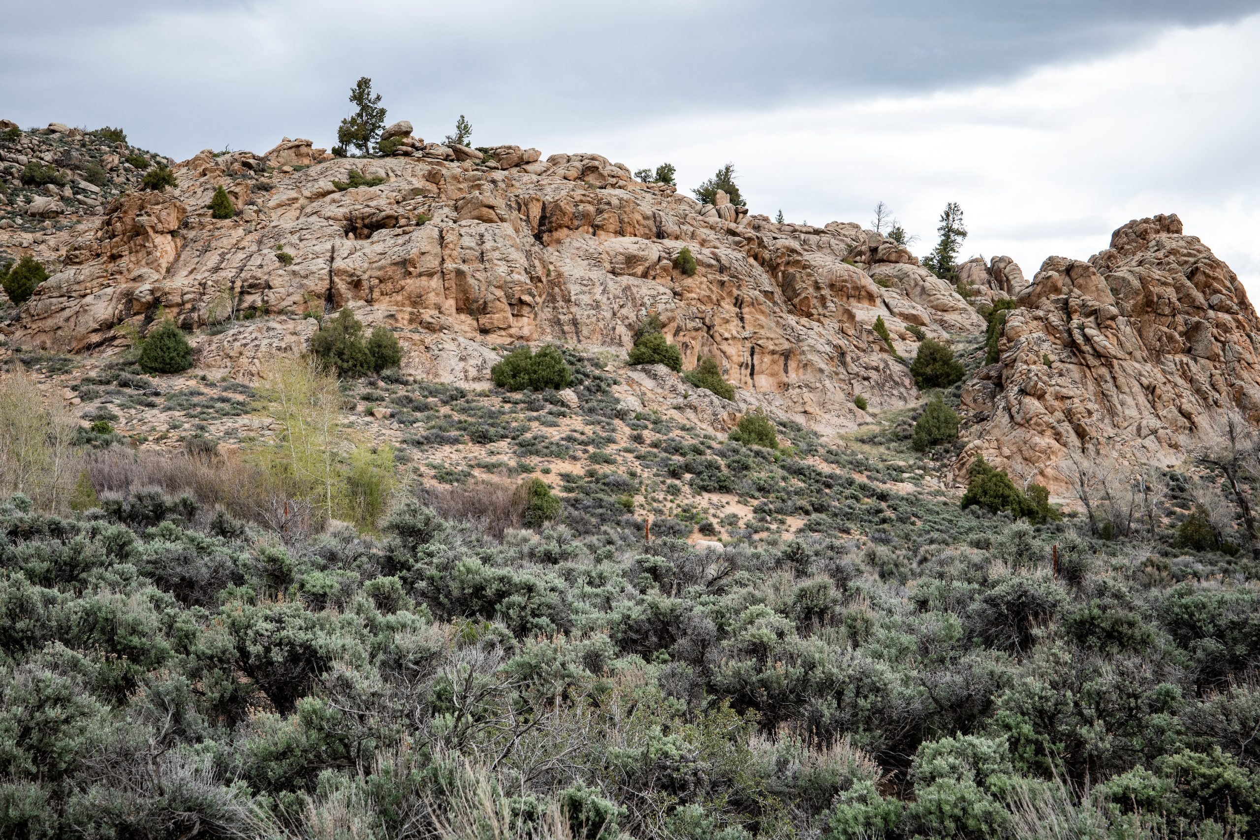 Hartman Rocks Mountain Biking | Crested Butte + Gunnison