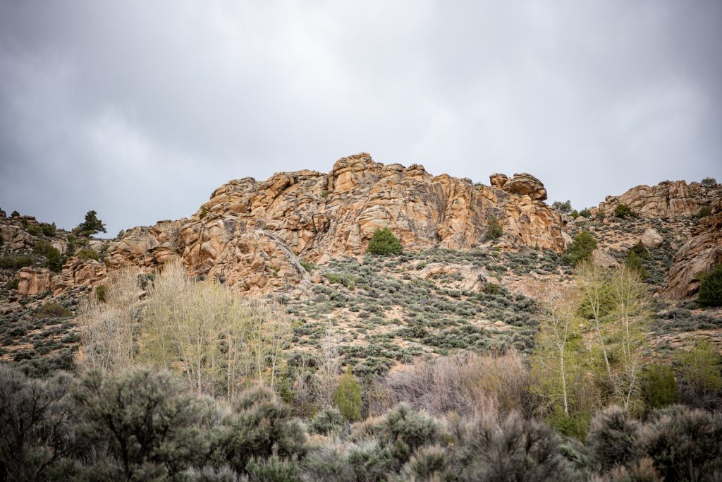 rock formations at hartman rocks in gunnison