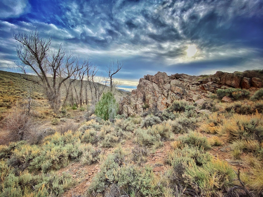 A rocky ridge with sage bushes and a blue sky