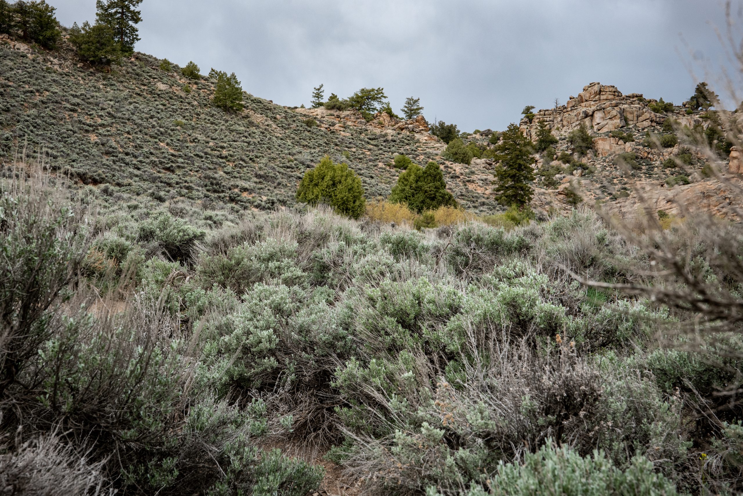 A rock formation and a hillside covered in sagebrush at Hartman Rocks in Gunnison, Colorado