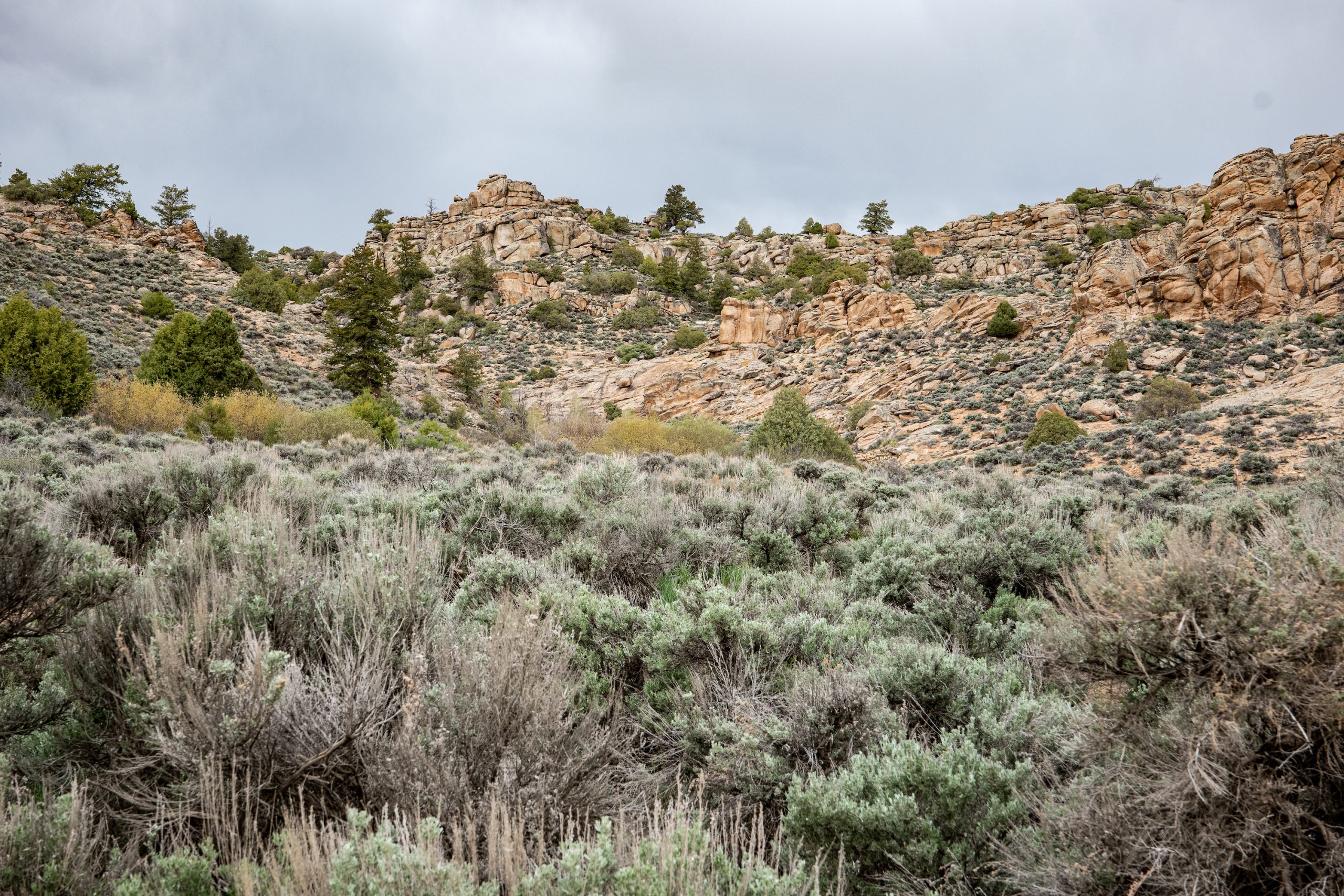 Rocks and sage brush