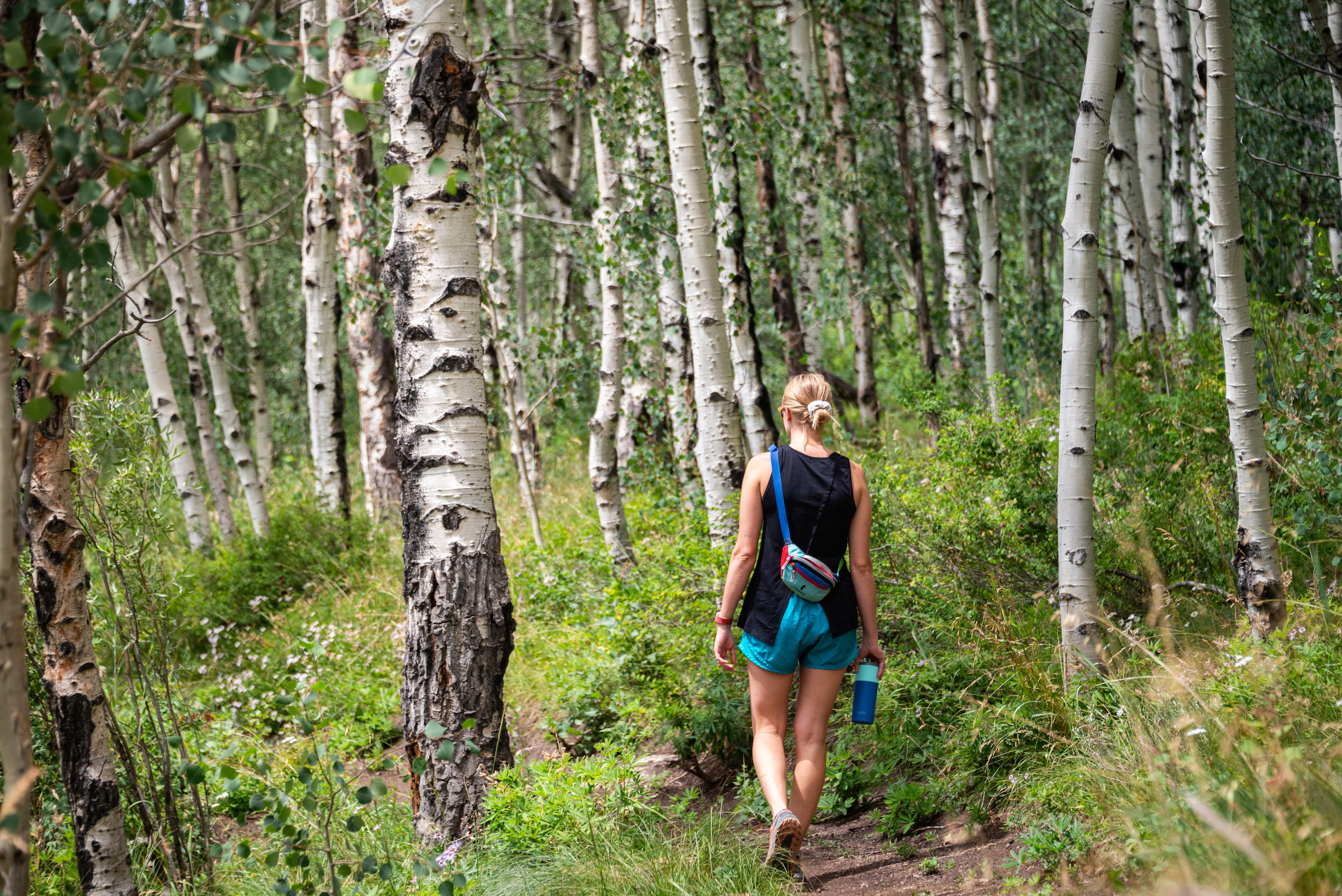 a woman hiking through aspen trees in Colorado in the Gunnison Valley